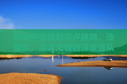 欧洲杯赛场的高卢雄鸡，法国队，当之无愧的顶级强队，欧洲杯高卢雄鸡法国队，顶级强队当之无愧