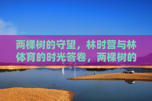 两棵树的守望，林时营与林体育的时光答卷，两棵树的守望，时光答卷