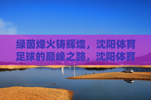 绿茵烽火铸辉煌，沈阳体育足球的巅峰之路，沈阳体育足球，绿茵烽火铸巅峰之路