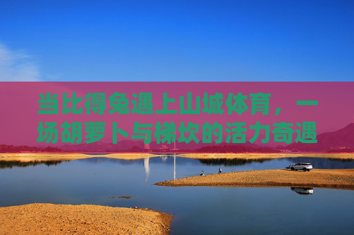 当比得兔遇上山城体育，一场胡萝卜与梯坎的活力奇遇，比得兔与山城体育，胡萝卜梯坎的活力奇遇