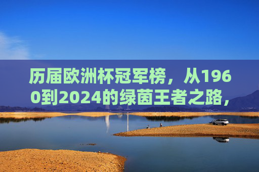 历届欧洲杯冠军榜，从1960到2024的绿茵王者之路，1960-2024欧洲杯冠军榜，绿茵王者之路