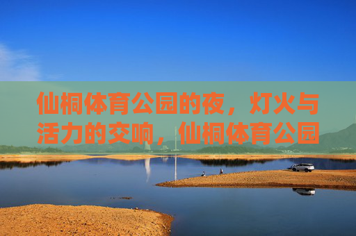 仙桐体育公园的夜,灯火与活力的交响,仙桐体育公园之夜,灯火与活力的交响 仙桐体育公园的夜,灯火与活力的交响,仙桐体育公园之夜,灯火与活力的交响