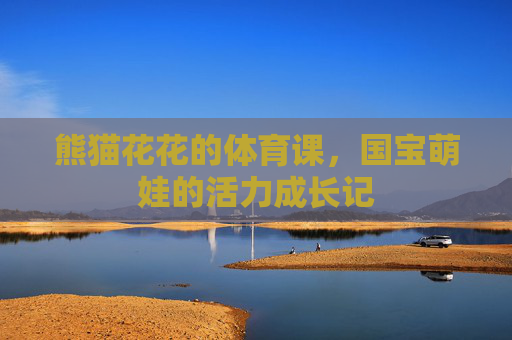 熊猫花花的体育课,国宝萌娃的活力成长记 熊猫花花的体育课,国宝萌娃的活力成长记