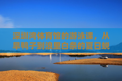 深圳湾体育馆的游泳课,从旱鸭子到浪里白条的夏日蜕变 深圳湾体育馆的游泳课,从旱鸭子到浪里白条的夏日蜕变