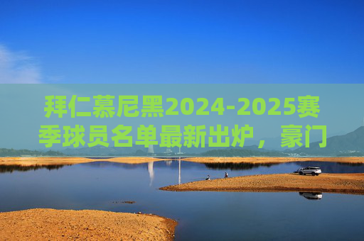 拜仁慕尼黑2024-2025赛季球员名单最新出炉，豪门阵容深度解析，拜仁慕尼黑2024-2025赛季新名单出炉 豪门阵容深度解析