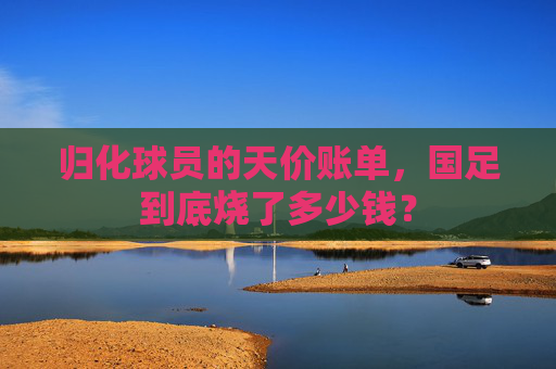 归化球员的天价账单,国足到底烧了多少钱? 归化球员的天价账单,国足到底烧了多少钱?