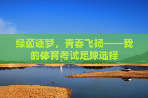 绿茵逐梦,青春飞扬——我的体育考试足球选择 绿茵逐梦,青春飞扬——我的体育考试足球选择