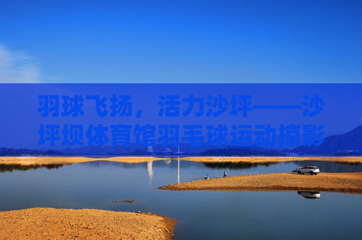 羽球飞扬，活力沙坪——沙坪坝体育馆羽毛球运动掠影，羽球飞扬，活力沙坪——沙坪坝体育馆羽毛球运动掠影