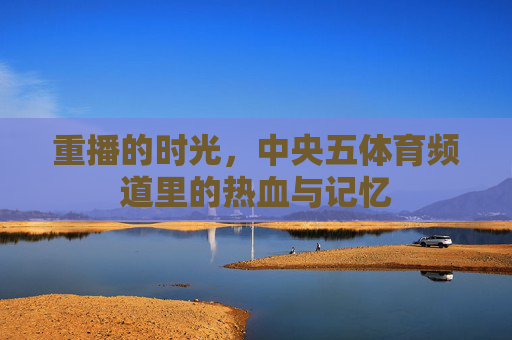 重播的时光,中央五体育频道里的热血与记忆 重播的时光,中央五体育频道里的热血与记忆