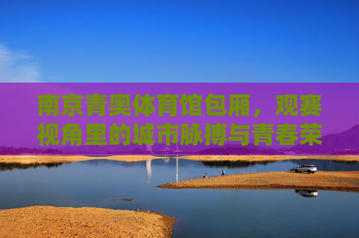 南京青奥体育馆包厢，观赛视角里的城市脉搏与青春荣光，南京青奥体育馆包厢，观赛视角里的城市脉搏与青春荣光
