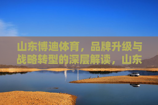 山东博迪体育，品牌升级与战略转型的深层解读，山东博迪体育，品牌升级与战略转型的深层解读
