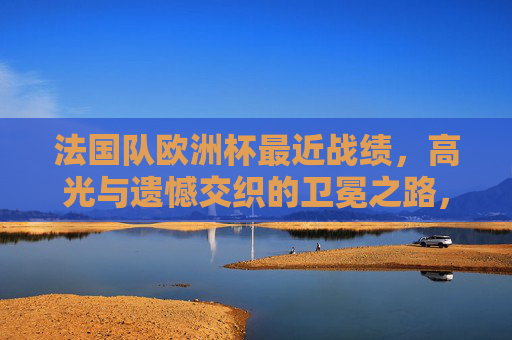 法国队欧洲杯最近战绩，高光与遗憾交织的卫冕之路，法国队欧洲杯卫冕之路，高光与遗憾交织