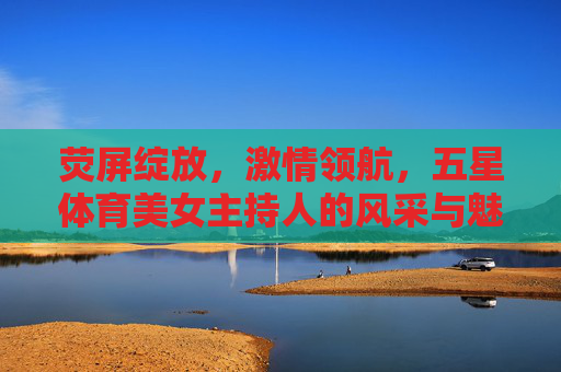 荧屏绽放，激情领航，五星体育美女主持人的风采与魅力，荧屏绽放激情领航，五星体育主持人的风采与魅力