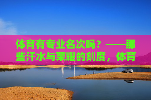 体育有专业名次吗?——那些汗水与荣耀的刻度,体育专业名次,汗水与荣耀的刻度 体育有专业名次吗?——那些汗水与荣耀的刻度,体育专业名次,汗水与荣耀的刻度