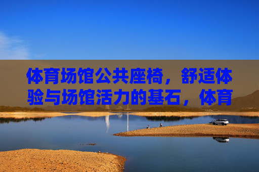 体育场馆公共座椅，舒适体验与场馆活力的基石，体育场馆公共座椅，舒适体验与场馆活力的基石
