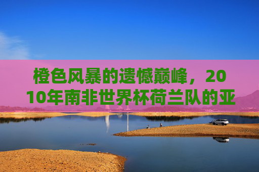 橙色风暴的遗憾巅峰，2010年南非世界杯荷兰队的亚军征程，橙色风暴的遗憾巅峰，2010南非世界杯荷兰队亚军征程
