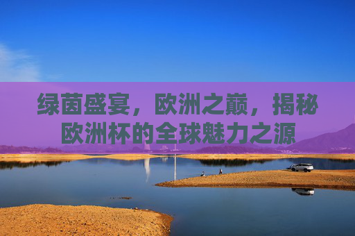绿茵盛宴，欧洲之巅，揭秘欧洲杯的全球魅力之源