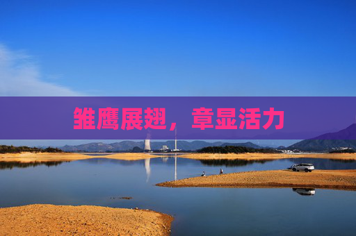 雏鹰展翅，章显活力