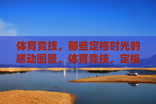 体育竞技，那些定格时光的感动图景，体育竞技，定格时光的感动瞬间