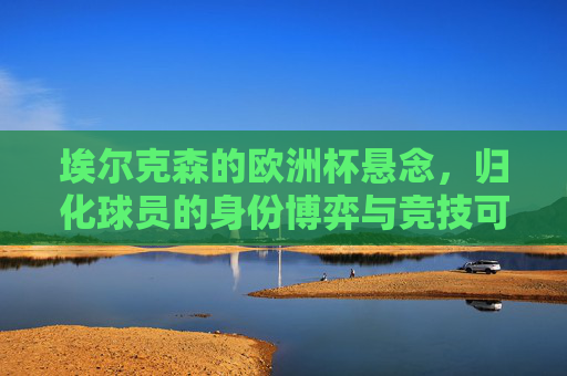 埃尔克森的欧洲杯悬念，归化球员的身份博弈与竞技可能，埃尔克森欧洲杯，归化球员身份博弈下的竞技可能