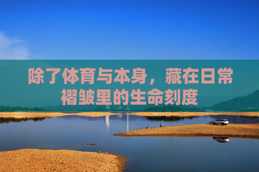 除了体育与本身,藏在日常褶皱里的生命刻度 除了体育与本身,藏在日常褶皱里的生命刻度