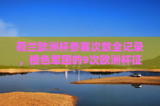 荷兰欧洲杯参赛次数全记录，橙色军团的9次欧洲杯征程，荷兰欧洲杯参赛次数全记录，橙色军团的9次征程