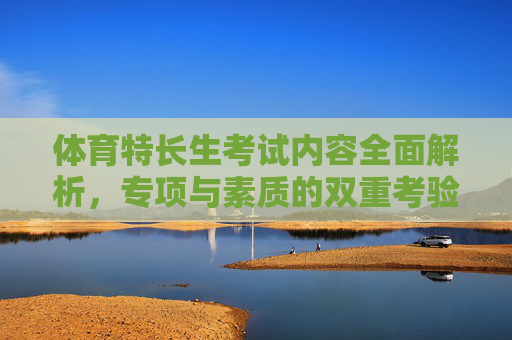 体育特长生考试内容全面解析，专项与素质的双重考验，体育特长生考试内容全面解析，专项与素质的双重考验