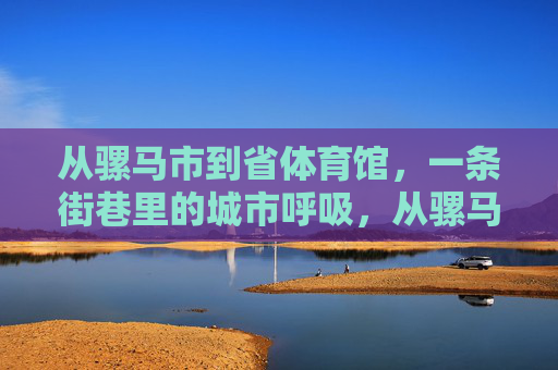 从骡马市到省体育馆，一条街巷里的城市呼吸，从骡马市到省体育馆，街巷里的城市呼吸