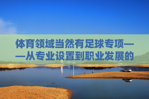 体育领域当然有足球专项——从专业设置到职业发展的全方位解析，足球专项，从专业设置到职业发展的全方位解析