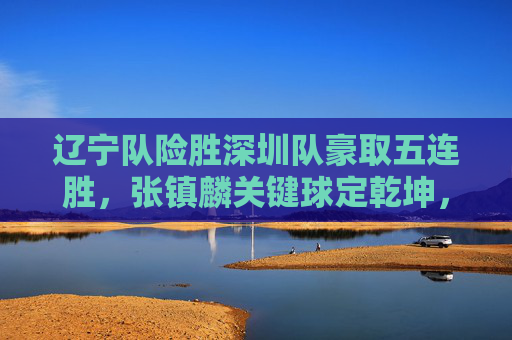 辽宁队险胜深圳队豪取五连胜，张镇麟关键球定乾坤，季后赛席位渐稳，辽宁险胜深圳豪取五连胜，张镇麟关键球定乾坤，季后赛席位渐稳