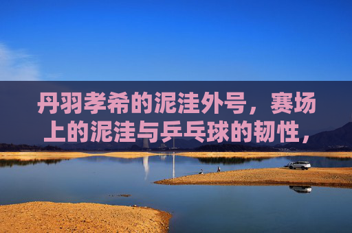 丹羽孝希的泥洼外号,赛场上的泥洼与乒乓球的韧性,丹羽孝希,泥洼外号与赛场韧性 丹羽孝希的泥洼外号,赛场上的泥洼与乒乓球的韧性,丹羽孝希,泥洼外号与赛场韧性