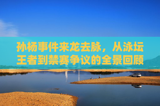 孙杨事件来龙去脉，从泳坛王者到禁赛争议的全景回顾，孙杨事件，从泳坛王者到禁赛争议的全景回顾