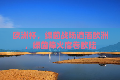 欧洲杯，绿茵战场遍洒欧洲，绿茵烽火席卷欧陆
