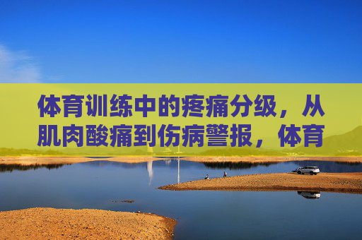 体育训练中的疼痛分级,从肌肉酸痛到伤病警报,体育训练疼痛分级,从肌肉酸痛到伤病警报 体育训练中的疼痛分级,从肌肉酸痛到伤病警报,体育训练疼痛分级,从肌肉酸痛到伤病警报