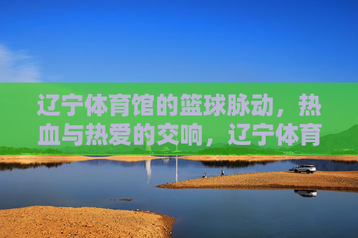 辽宁体育馆的篮球脉动，热血与热爱的交响，辽宁体育馆篮球脉动，热血与热爱的交响