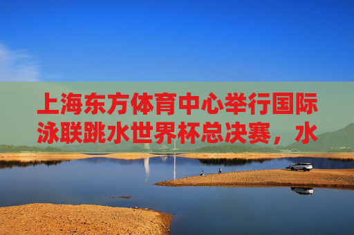 上海东方体育中心举行国际泳联跳水世界杯总决赛，水上巅峰对决点亮申城，国际泳联跳水世界杯总决赛申城上演水上巅峰对决