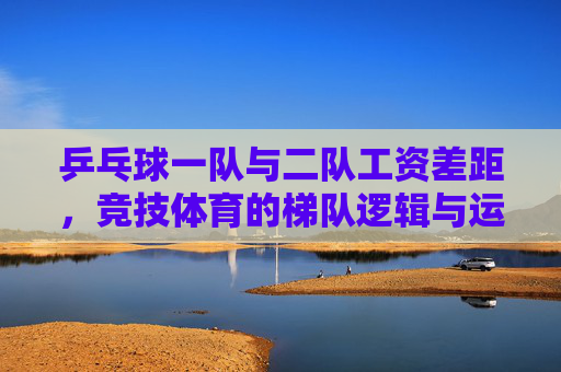 乒乓球一队与二队工资差距，竞技体育的梯队逻辑与运动员生存图景，乒乓球梯队工资差，竞技逻辑与运动员生存图景