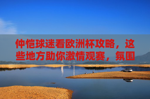 仲恺球迷看欧洲杯攻略，这些地方助你激情观赛，氛围拉满！仲恺球迷欧洲杯观赛攻略，激情观赛氛围拉满