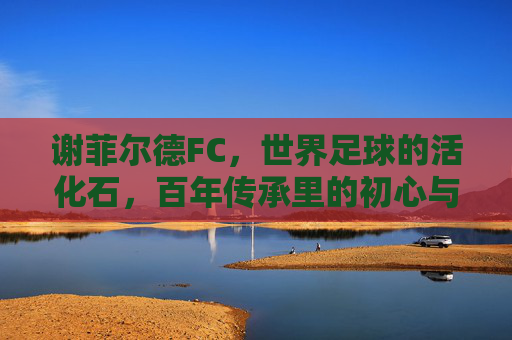 谢菲尔德FC，世界足球的活化石，百年传承里的初心与坚守，谢菲尔德FC，世界足球活化石的百年初心坚守