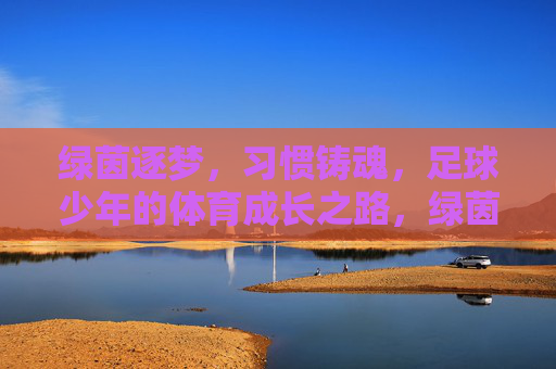 绿茵逐梦，习惯铸魂，足球少年的体育成长之路，绿茵逐梦，习惯铸魂，足球少年的体育成长之路