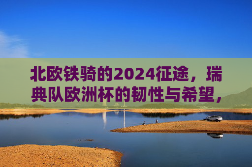 北欧铁骑的2024征途，瑞典队欧洲杯的韧性与希望，北欧铁骑2024欧洲杯征途，韧性与希望
