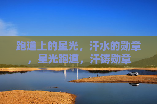 跑道上的星光,汗水的勋章,星光跑道,汗铸勋章 跑道上的星光,汗水的勋章,星光跑道,汗铸勋章