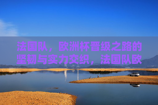 法国队，欧洲杯晋级之路的坚韧与实力交织，法国队欧洲杯晋级之路，坚韧与实力交织