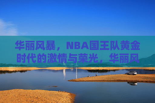 华丽风暴，NBA国王队黄金时代的激情与荣光，华丽风暴，NBA国王队黄金时代的激情与荣光