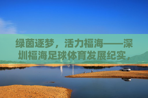 绿茵逐梦,活力福海——深圳福海足球体育发展纪实,绿茵逐梦,活力福海 绿茵逐梦,活力福海——深圳福海足球体育发展纪实,绿茵逐梦,活力福海