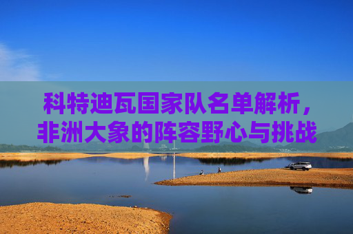 科特迪瓦国家队名单解析，非洲大象的阵容野心与挑战，科特迪瓦非洲大象阵容解析，野心与挑战