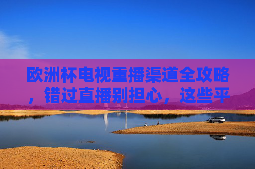 欧洲杯电视重播渠道全攻略，错过直播别担心，这些平台带你回顾精彩，欧洲杯重播渠道全攻略