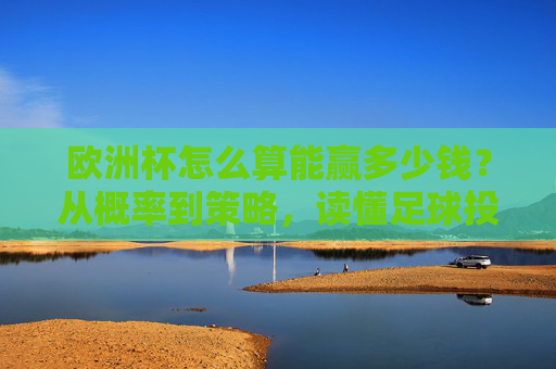 欧洲杯怎么算能赢多少钱？从概率到策略，读懂足球投注的赚钱经，欧洲杯投注赚钱指南，从概率到策略