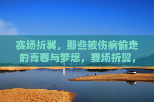 赛场折翼，那些被伤病偷走的青春与梦想，赛场折翼，伤病偷走的青春与梦想