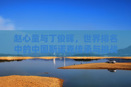 赵心童与丁俊晖,世界排名中的中国斯诺克传承与挑战,丁俊晖与赵心童,世界排名中的中国斯诺克传承与挑战 赵心童与丁俊晖,世界排名中的中国斯诺克传承与挑战,丁俊晖与赵心童,世界排名中的中国斯诺克传承与挑战